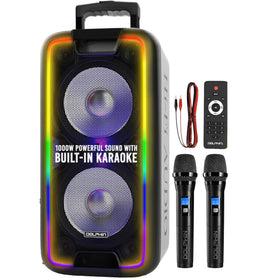 Dolphin Dual 10-Inch speaker front view highlighting powerful sound for parties.