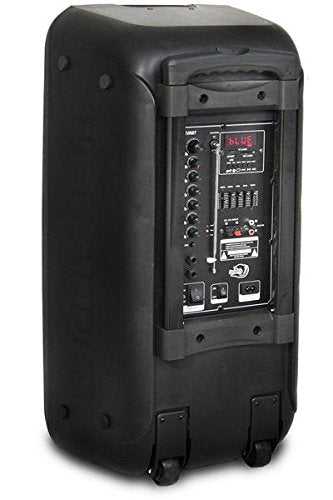 Dolphin 1000W speaker with multiple inputs for versatile setups.