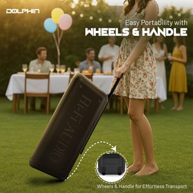 Dolphin party box with wheels and handle for easy transport.