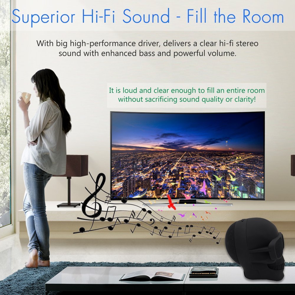 DORNLAT Skull Bluetooth Speaker ports with micro USB TF and AUX for versatile playback