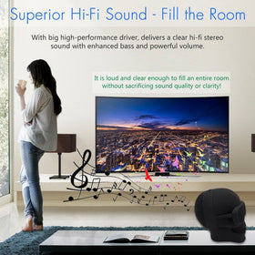 DORNLAT Skull Bluetooth Speaker ports with micro USB TF and AUX for versatile playback