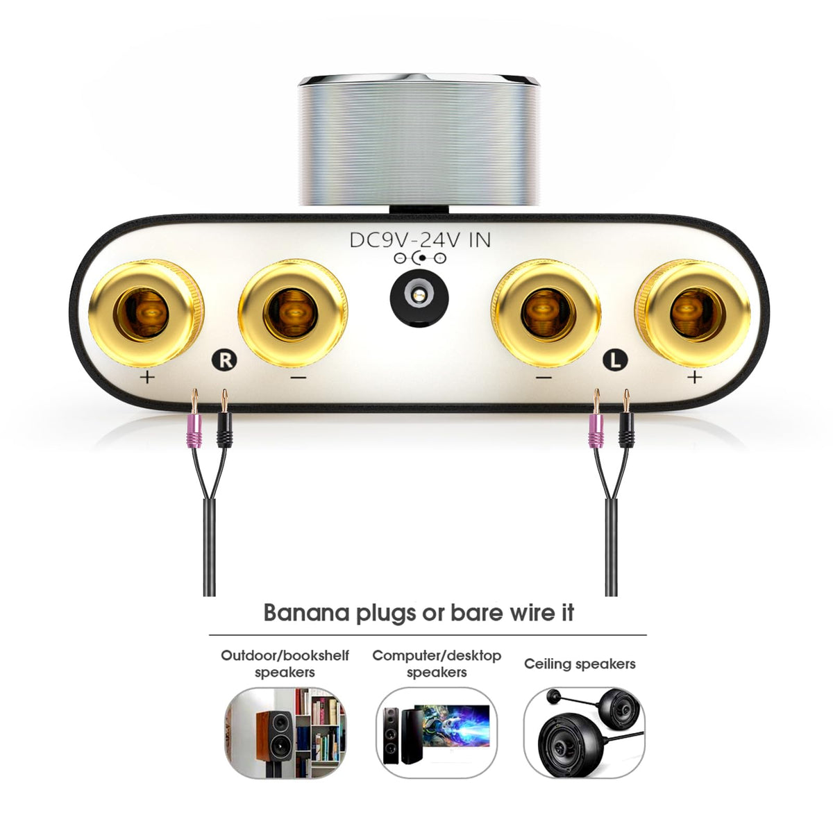 Douk Audio connected to laptop showing desktop setup convenience and clarity