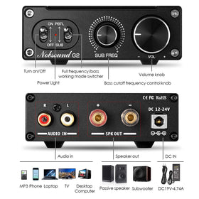 Douk Audio G2 rear connections with speaker terminals and RCA inputs for clean wiring
