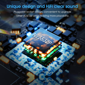 Douk Audio L1-MINI op-amp socket close-up showing upgradeable component flexibility