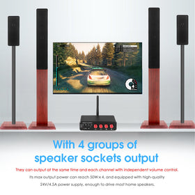 Douk Audio M4 RCA inputs for flexible source options.