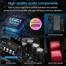 Douk Audio Nobsound 300W2 back panel with RCA and phono inputs