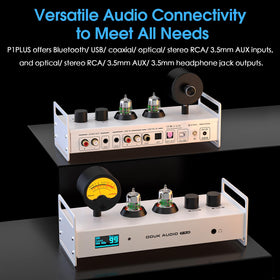 Douk Audio P1 Plus OLED display showing track and levels