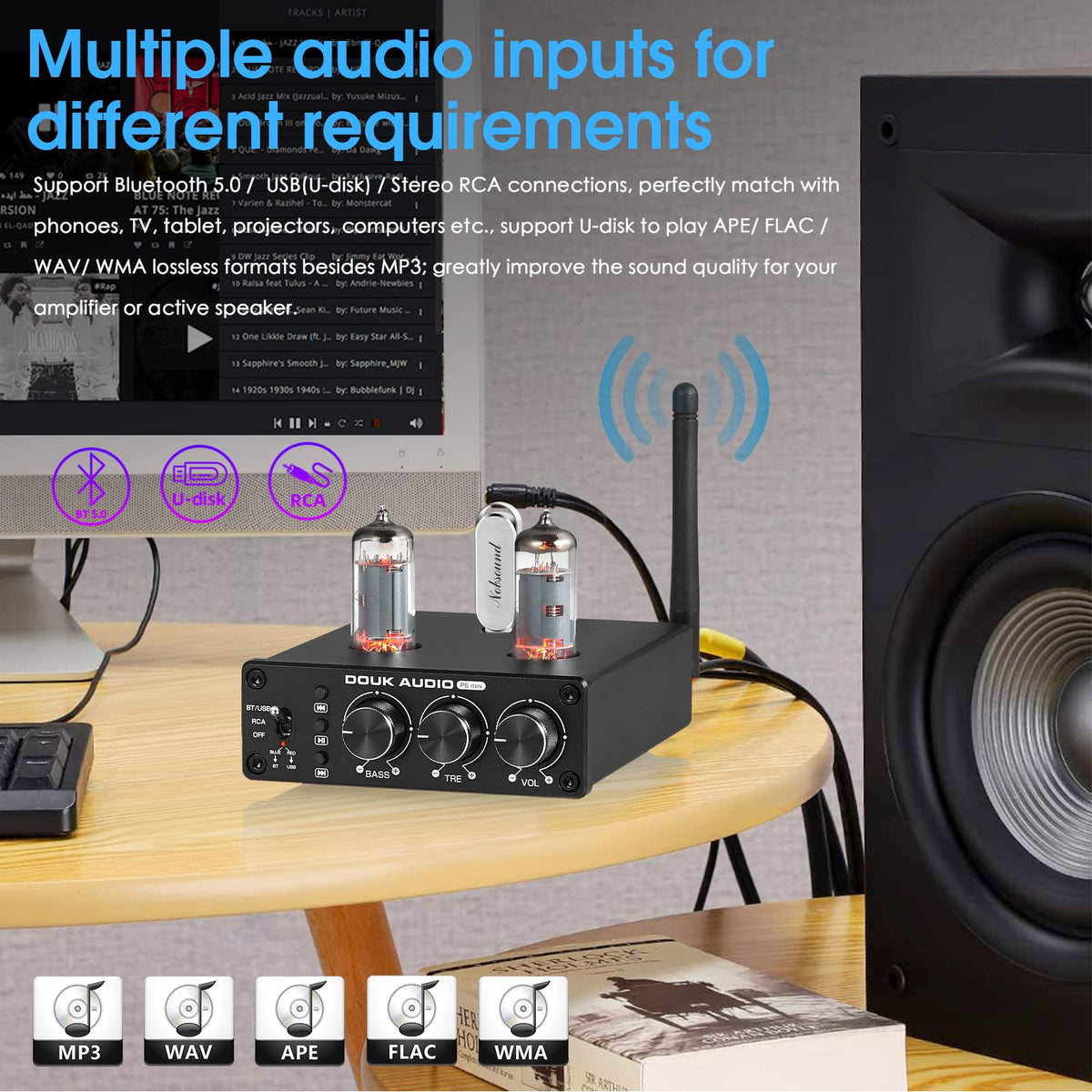 Douk Audio P6 MINI rear connections with RCA and antenna, enables flexible hookups