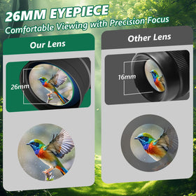 DQUGUVY binoculars with 26mm eyepiece for wider, clearer field of view.
