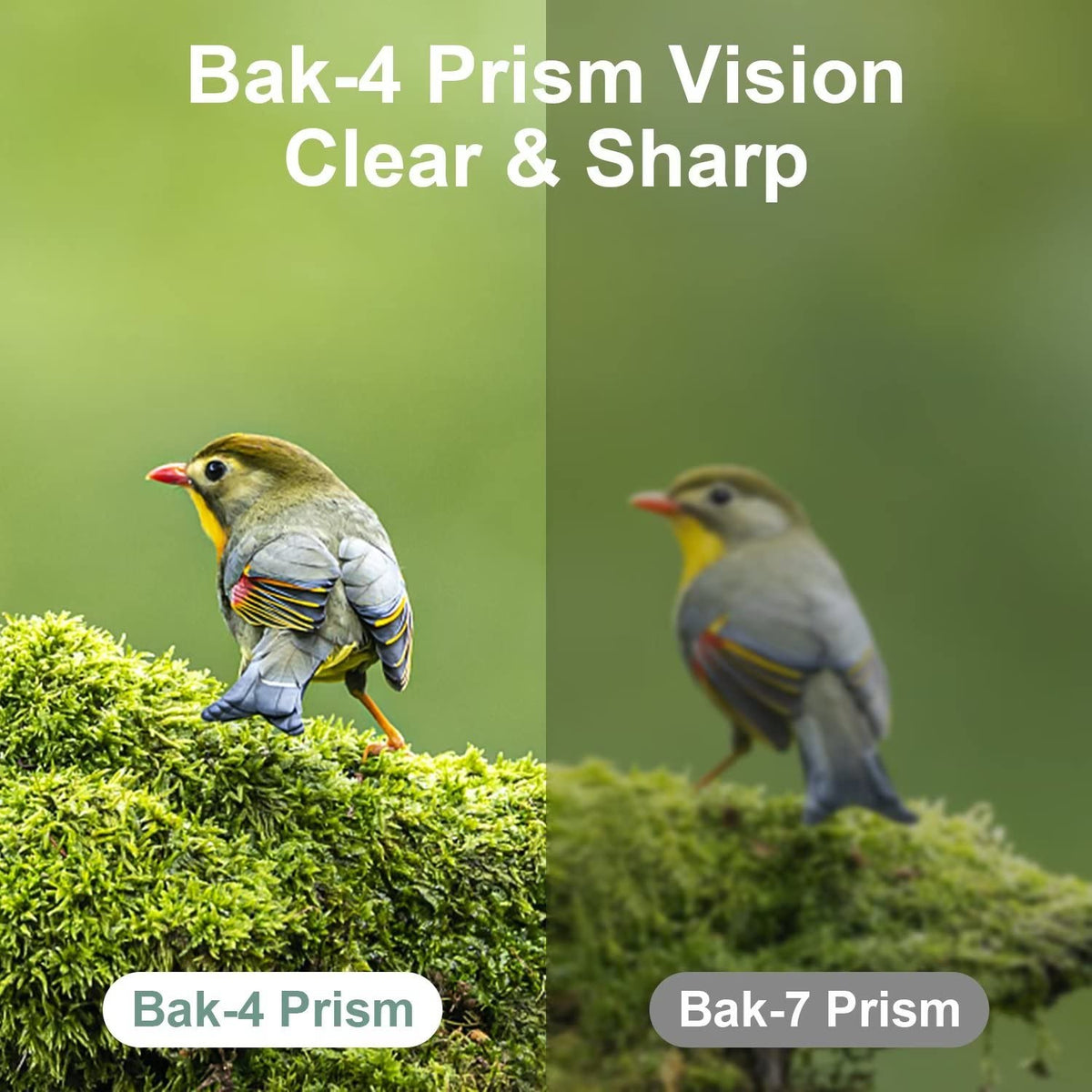 Dranbol 12x25 binoculars side view highlights slim, portable profile for easy packing