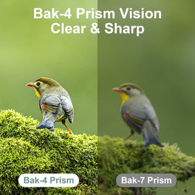 Dranbol 12x25 binoculars side view highlights slim, portable profile for easy packing