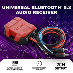 DS18 BTC-Five RCA output feeding a car amplifier for clear sound.