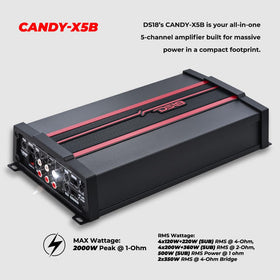 DS18 Candy-X5B back panel with inputs and outputs for flexible wiring.