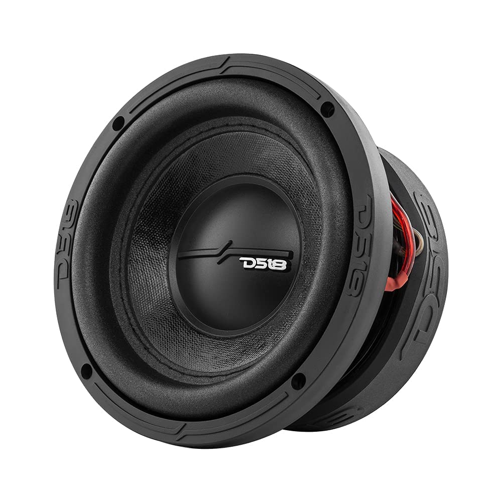 DS18 Elite-Z ZR6.2D magnet assembly and dustcap showcase sturdy construction