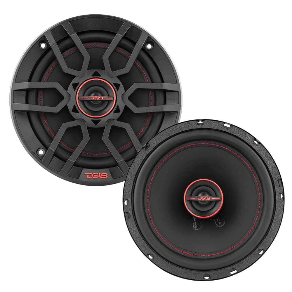 DS18 GEN-X6.5 9mm Mylar tweeter detail delivers smooth treble.