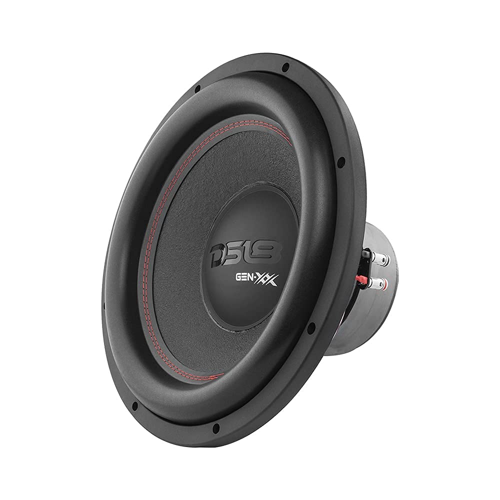 DS18 Gen-XX15-4DHE 12 inch ferrite magnet detail for strong, consistent performance