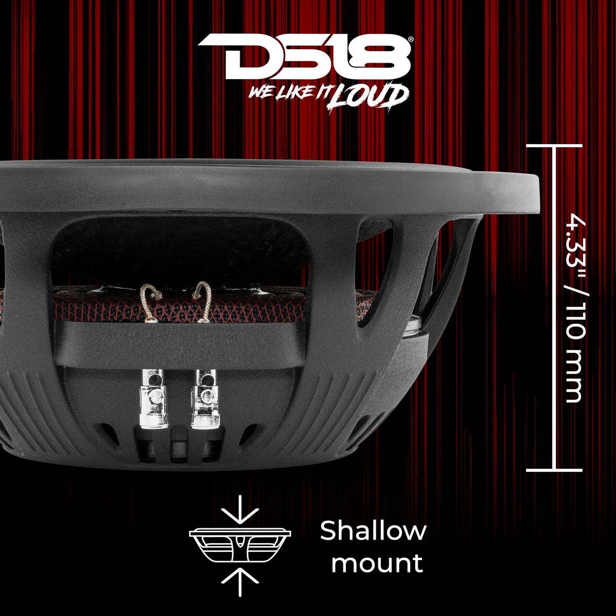 DS18 IXS104D magnet detail emphasizes sturdy ferrite magnet for power handling.