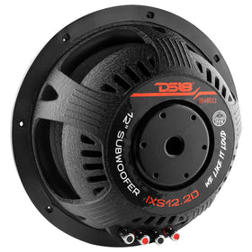 DS18 IXS12.2D heat sink and chassis showing durable construction