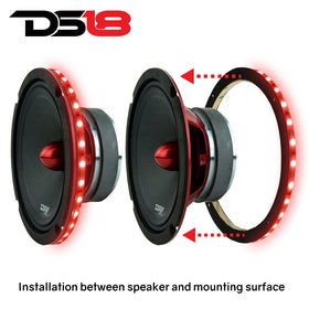 DS18 close-up acrylic detail highlighting smooth surface and light diffusion benefit