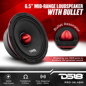 DS18 midrange cone close-up showing bullet resonator design.
