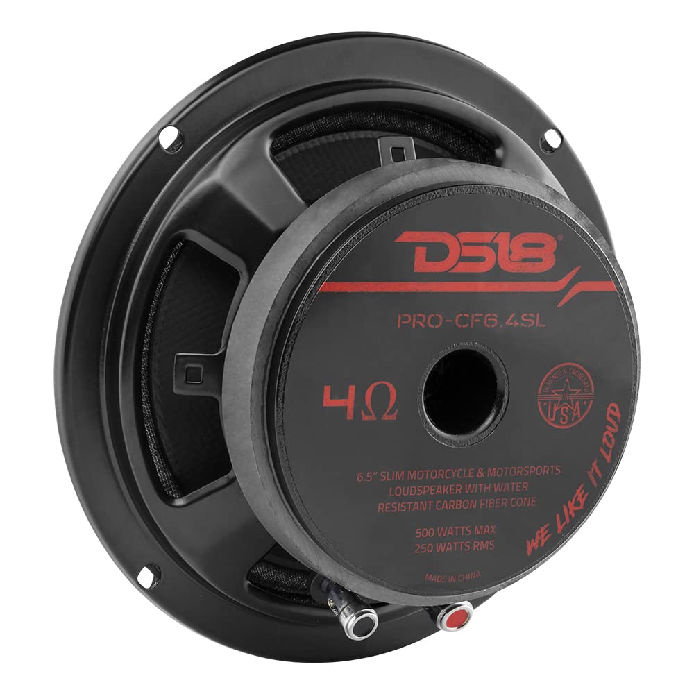 DS18 PRO-CF6.4SL weather-ready speaker for outdoor adventures.