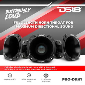DS18 PRO-DKH1 35oz ferrite magnet adds power-handling headroom.