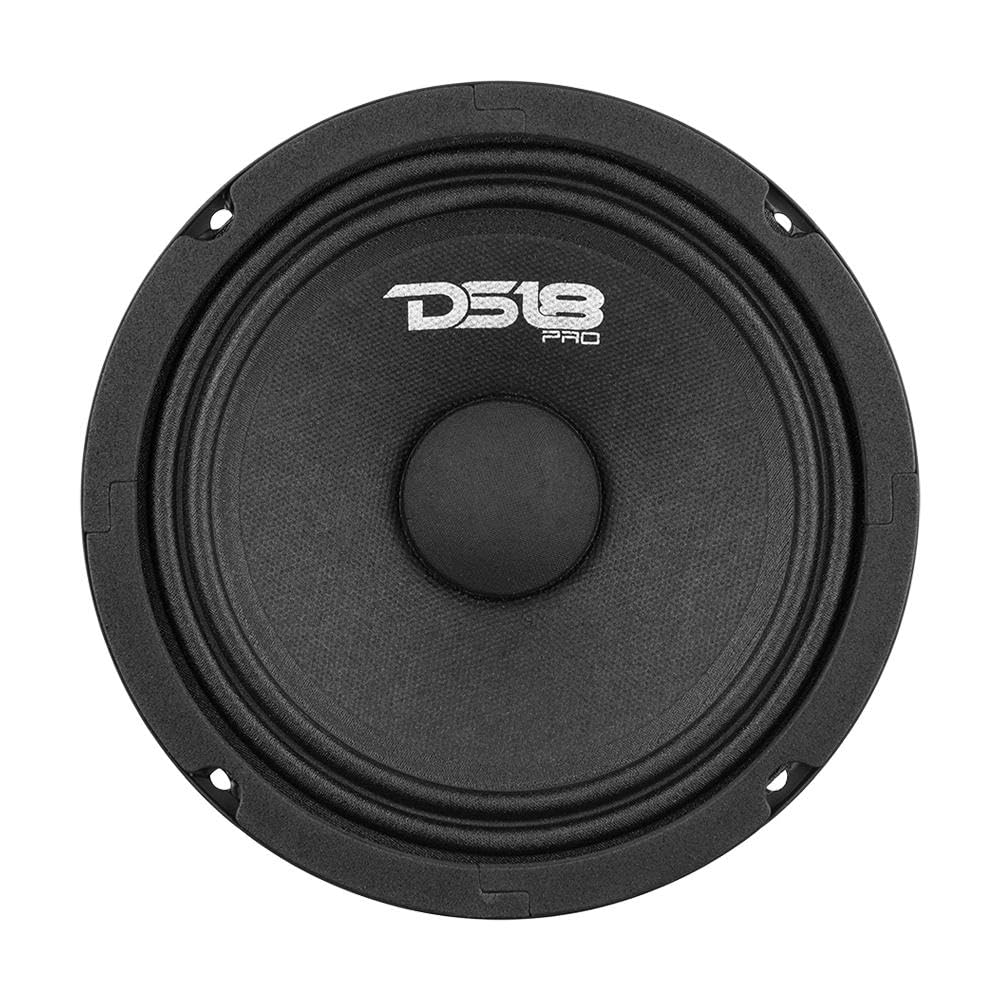 DS18 cone and cloth surround close-up showing natural midrange timbre and durability