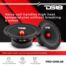 DS18 black paper cone and cloth surround detail for natural midrange response