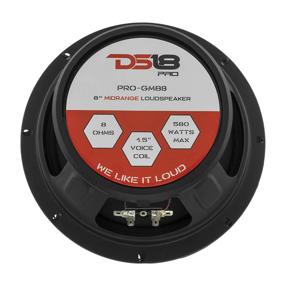 DS18 installed in a car door illustrating improved vocal presence and system upgrade