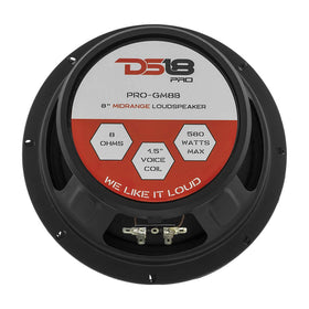DS18 installed in a car door illustrating improved vocal presence and system upgrade