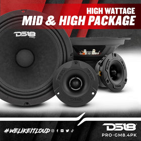 DS18 PRO TW120B 1-inch tweeter front view offering strong high-end detail.