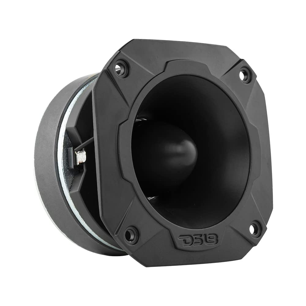 DS18 front view showing tweeter face and clean mounting for precise highs