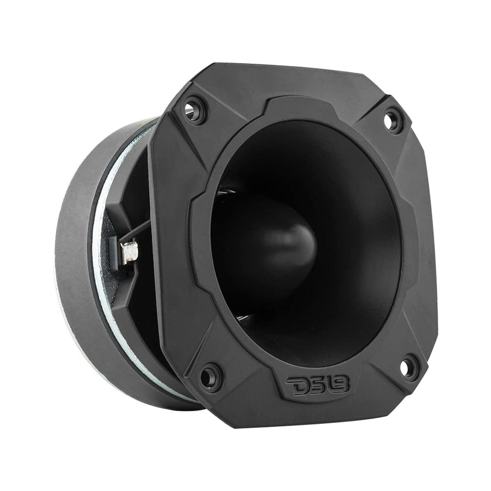 DS18 front view showing tweeter face and clean mounting for precise highs