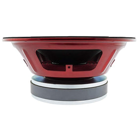 DS18 PRO-X10MBASS 10-inch woofer mounted in factory-ready frame.