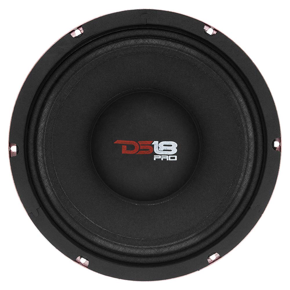 DS18 PRO-X10MBASS ferrite magnet detail highlights power handling potential.