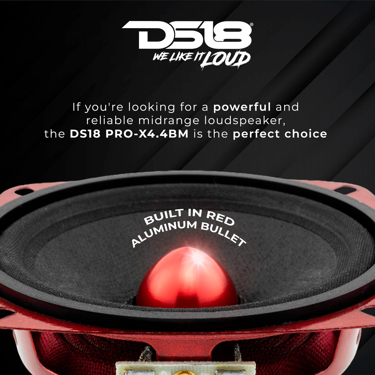 DS18 bullet dust cap close-up protecting voice coil and improving dispersion