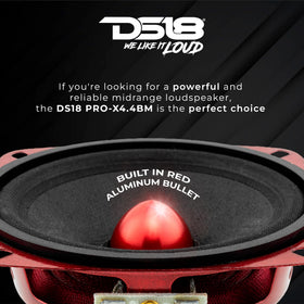 DS18 bullet dust cap close-up protecting voice coil and improving dispersion