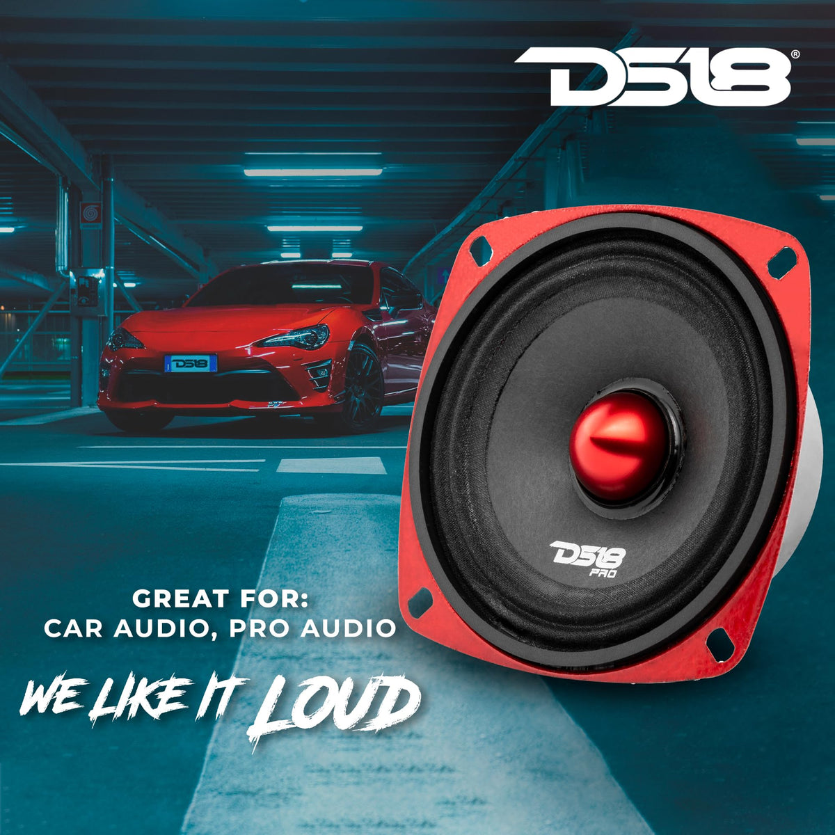 DS18 cone and cloth surround texture showing natural tone and control
