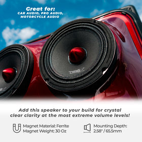 DS18 cone and cloth surround detail for natural vocal reproduction