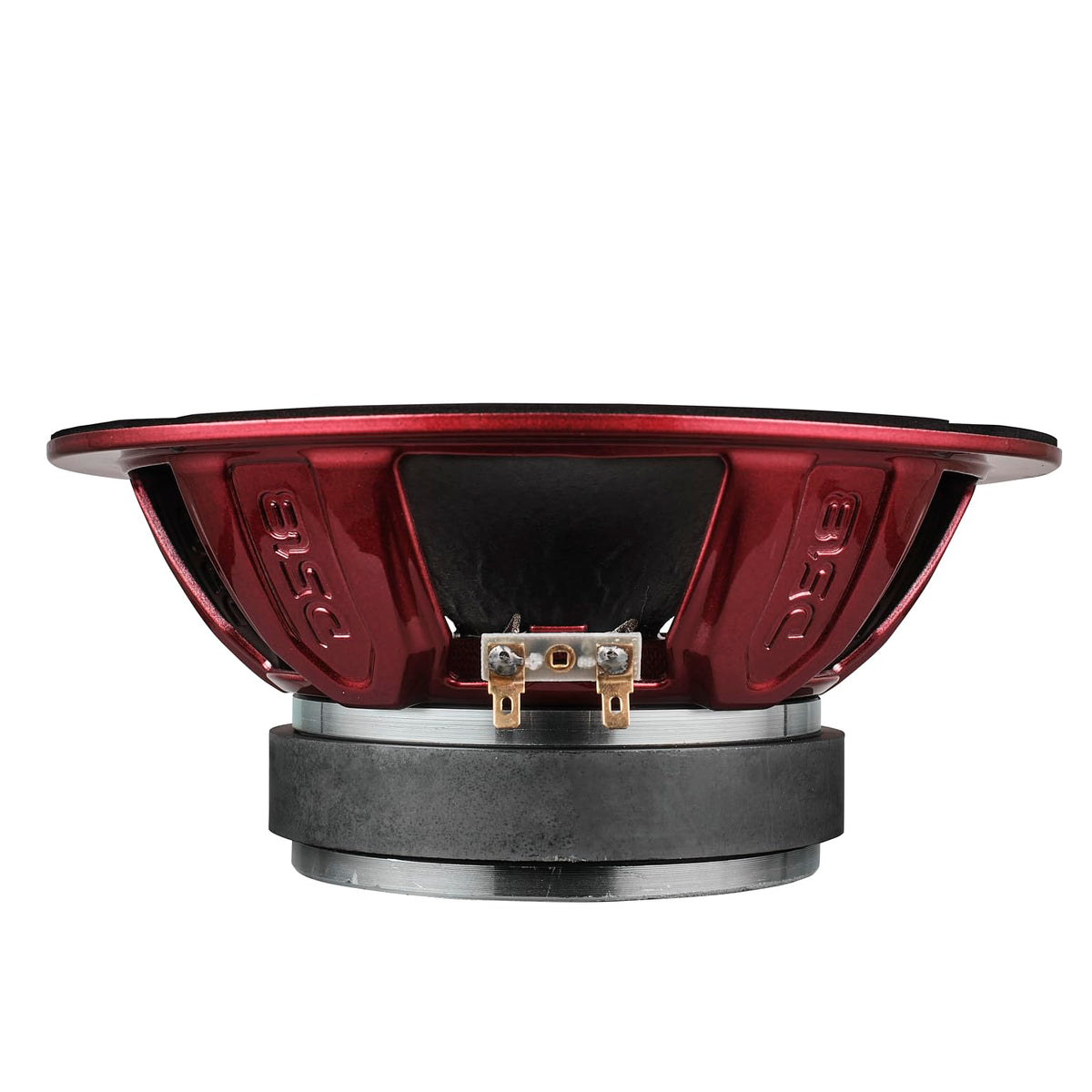 Impedance label on DS18 PRO-X8BM confirms 8-ohm compatibility