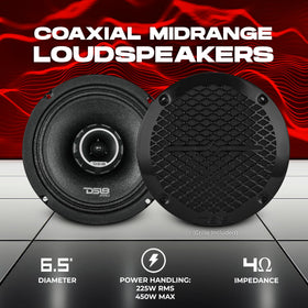 DS18 PRO-ZT6 midrange cone close-up shows rugged build for long listening