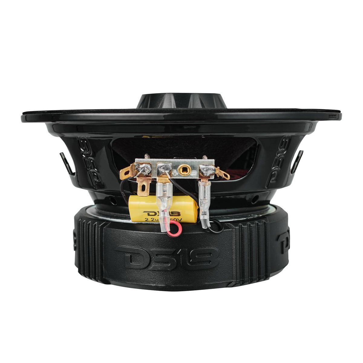 DS18 PRO-ZT6 water-resistant mount supports outdoor applications
