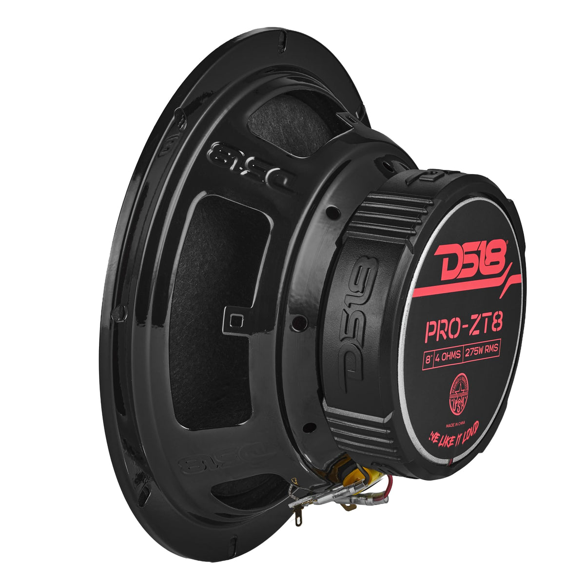 DS18 PRO-ZT8 aluminum diaphragm tweeter adds bright detail.