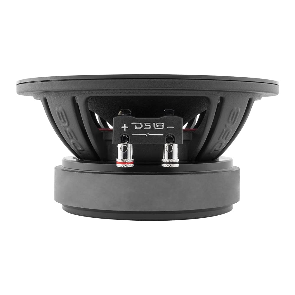 DS18 PRO-ZXI6.4BM aluminum basket with low-resonance frame design
