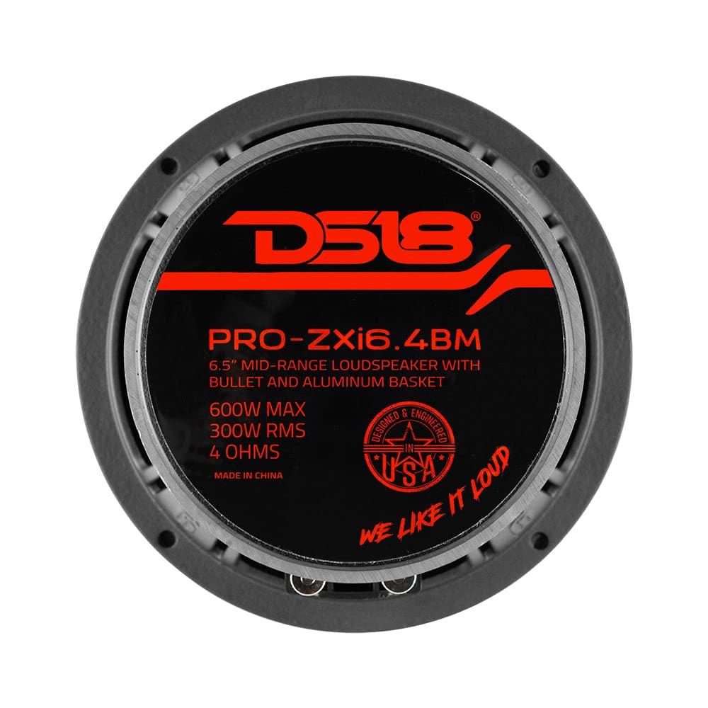 DS18 PRO-ZXI6.4BM studio-like test shows dynamic range