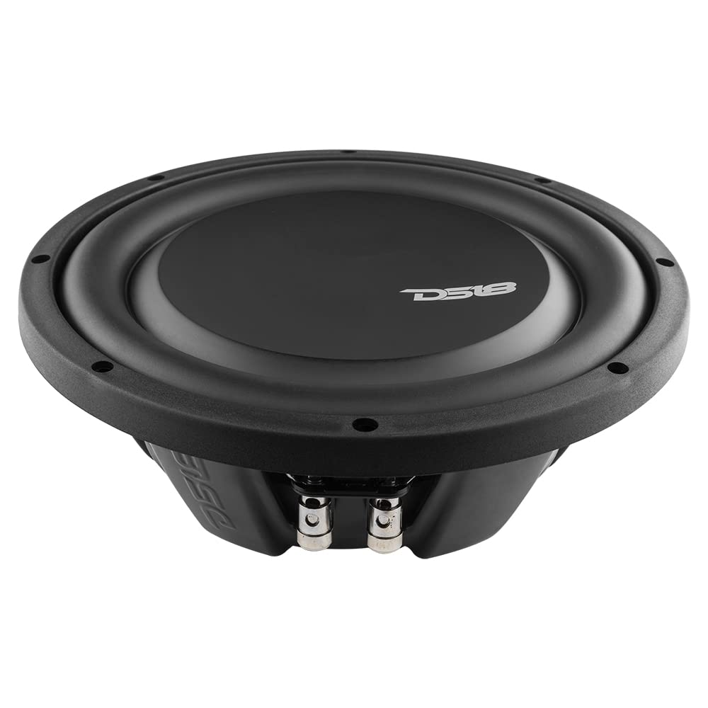 DS18 PSW10-2D 1000W peak, 500W RMS for dynamic car audio.