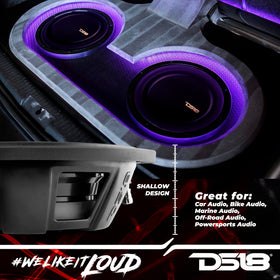 DS18 PSW12.4D water-resistant cone suitable for rugged rides.