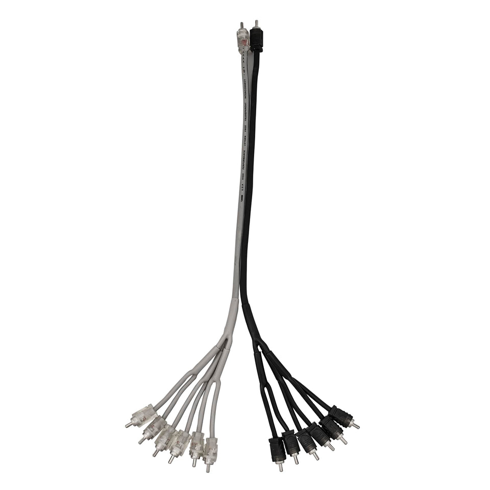 DS18 R2M12M/SLV full product view highlighting twelve RCA outputs for multi-amp setups.