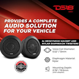 DS18 tweeter detail with neodymium magnet for crisp high frequencies