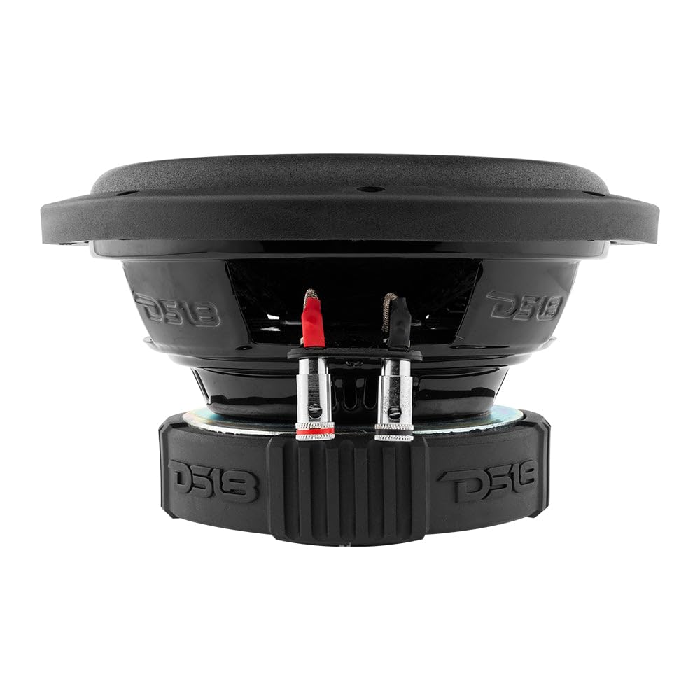 DS18 SLC8S ferrite magnet supports strong magnetic performance at high listening levels.